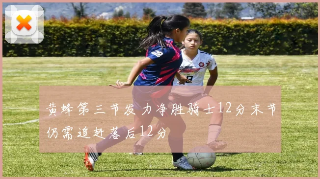 黄蜂第三节发力净胜骑士12分末节仍需追赶落后12分