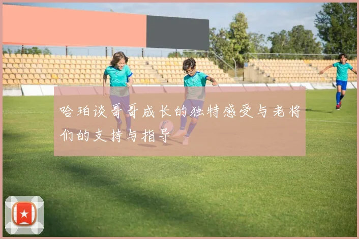 哈珀谈哥哥成长的独特感受与老将们的支持与指导