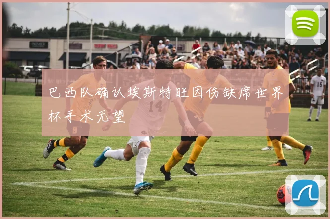 巴西队确认埃斯特旺因伤缺席世界杯手术无望