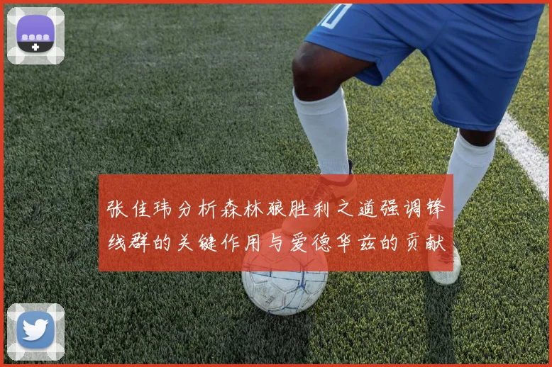 张佳玮分析森林狼胜利之道强调锋线群的关键作用与爱德华兹的贡献